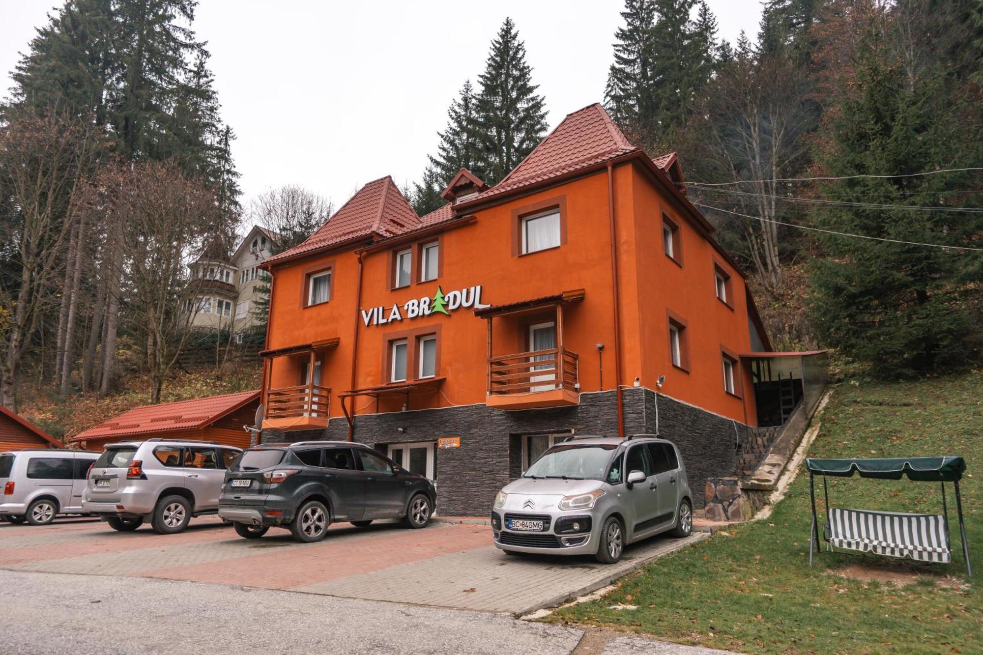Vila Bradul ラク・ロシュ エクステリア 写真