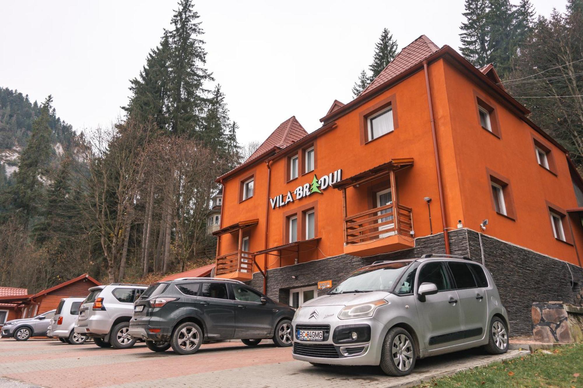 Vila Bradul ラク・ロシュ エクステリア 写真