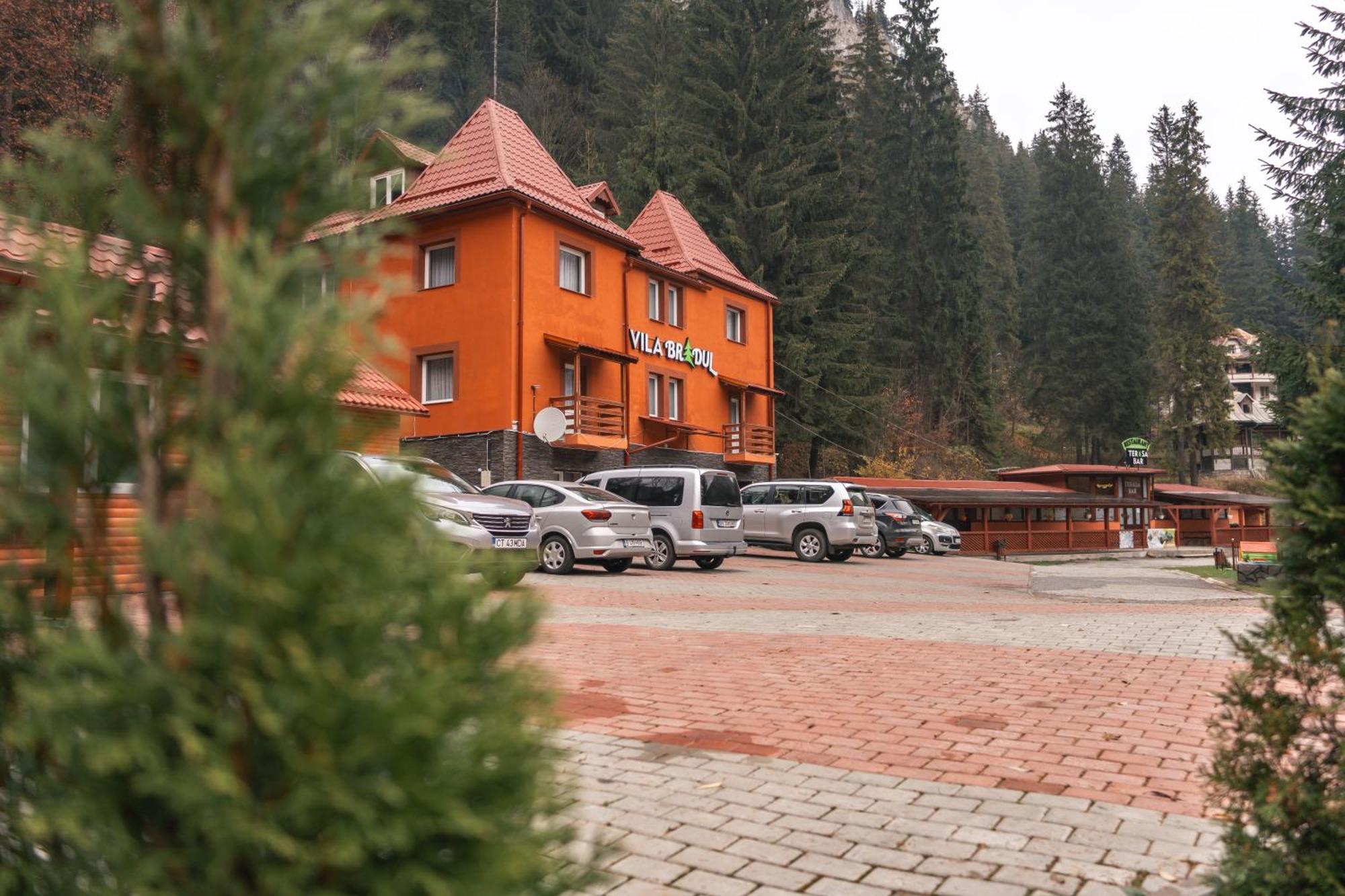 Vila Bradul ラク・ロシュ エクステリア 写真