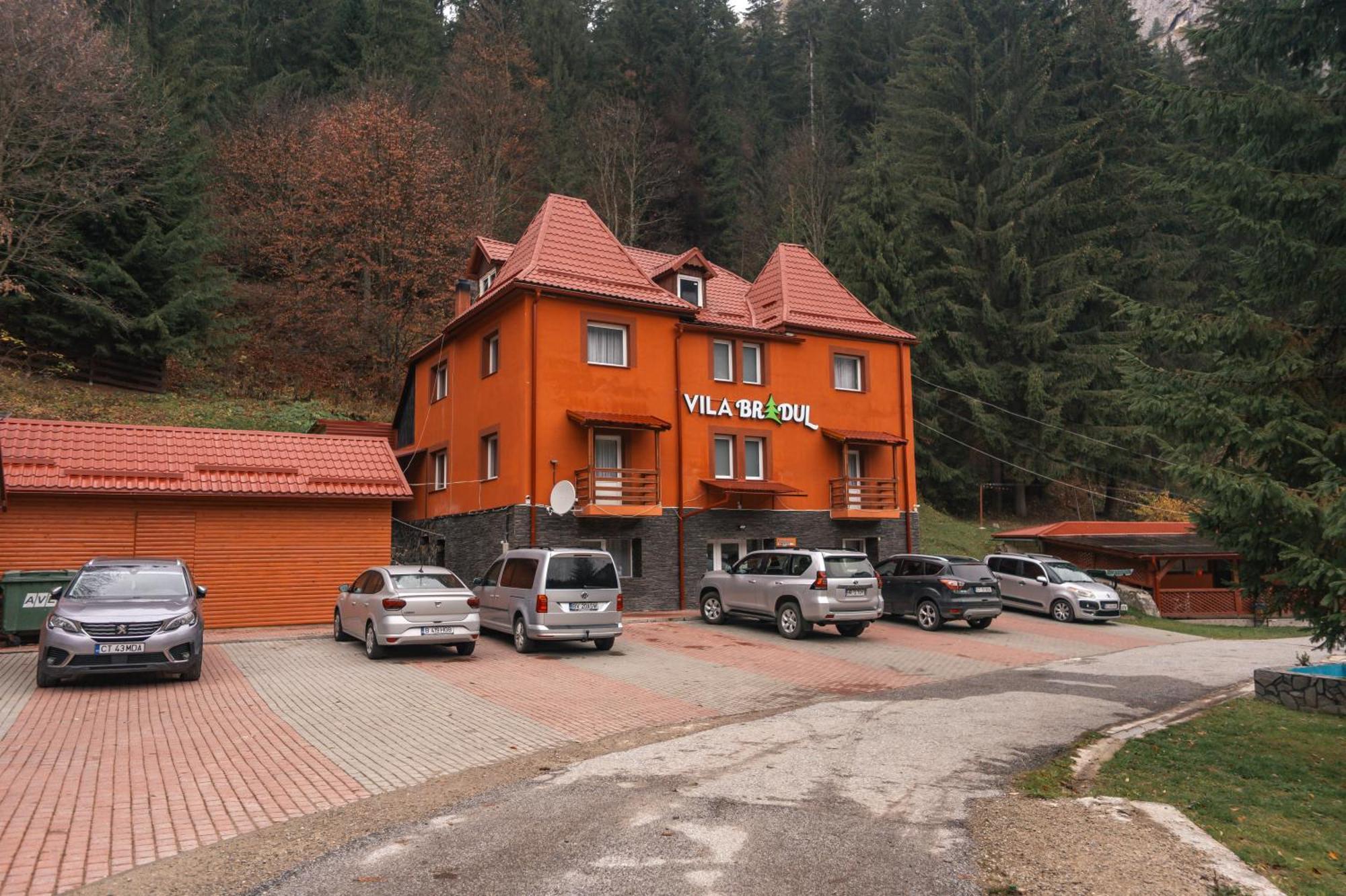 Vila Bradul ラク・ロシュ エクステリア 写真