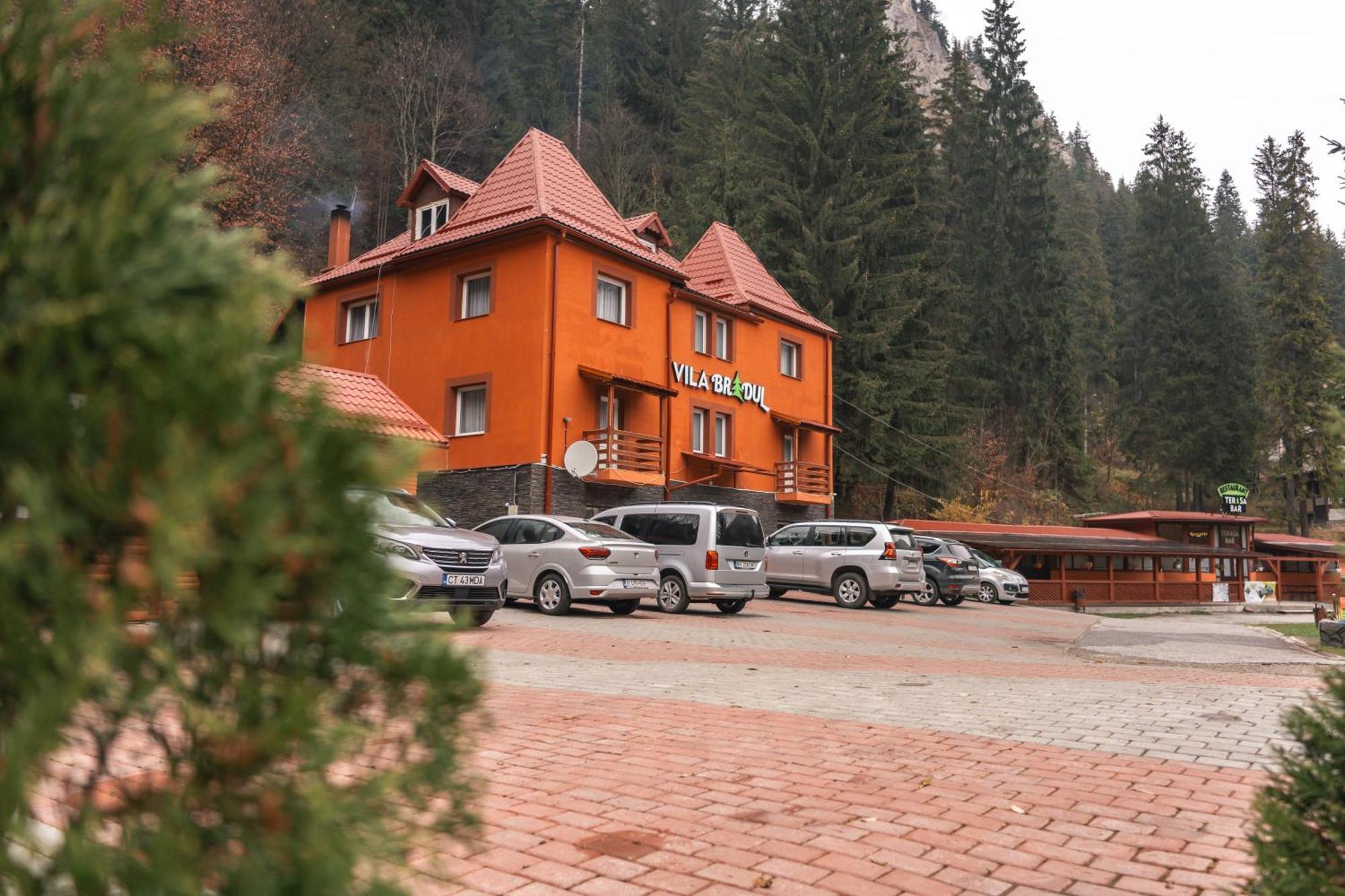 Vila Bradul ラク・ロシュ エクステリア 写真