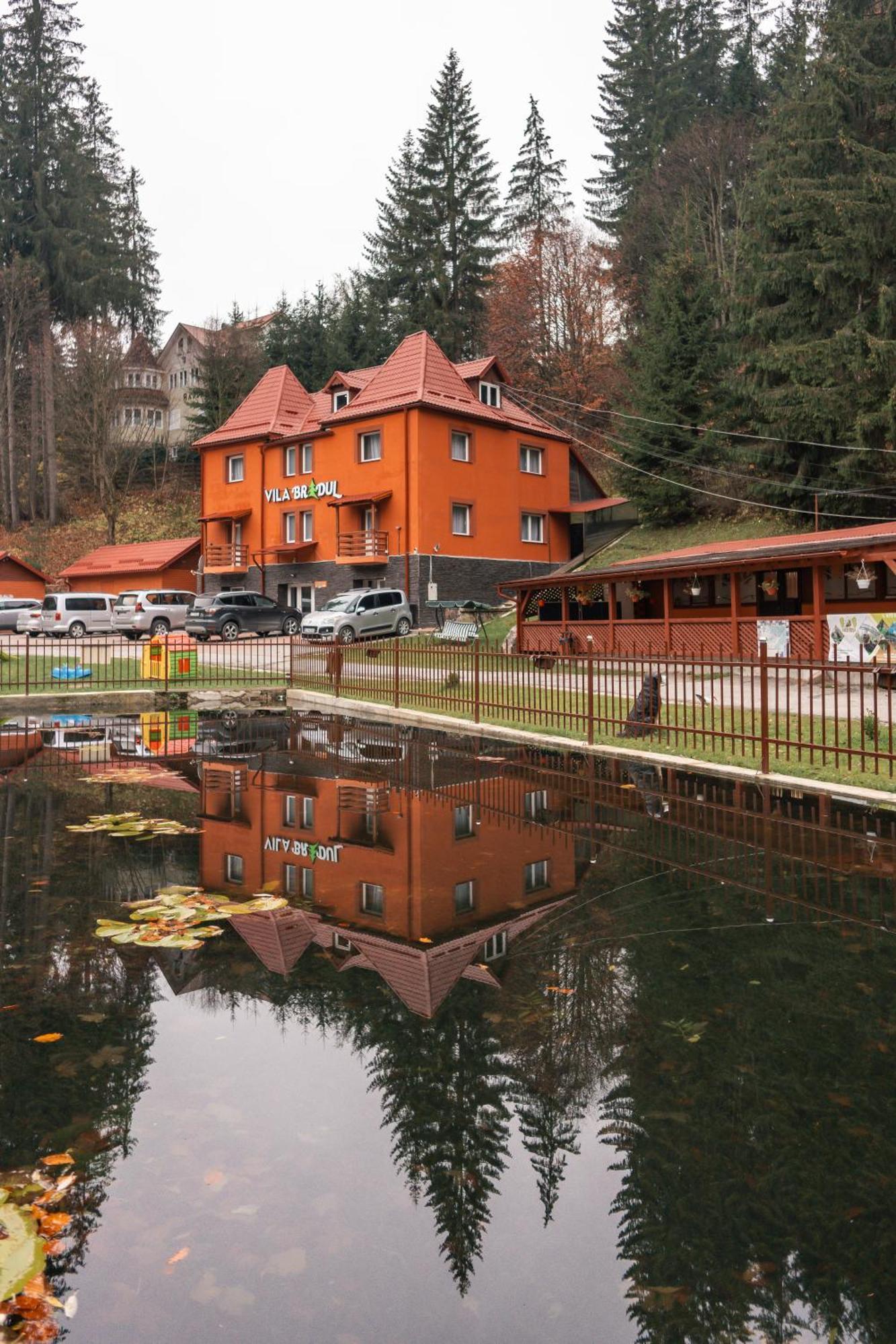 Vila Bradul ラク・ロシュ エクステリア 写真