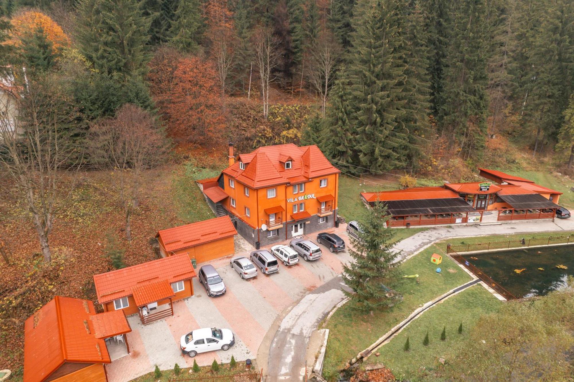 Vila Bradul ラク・ロシュ エクステリア 写真